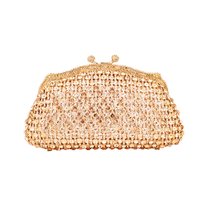 Rose Studded Crystal Work Metallic Frame Beautiful Deep Colour Handbags