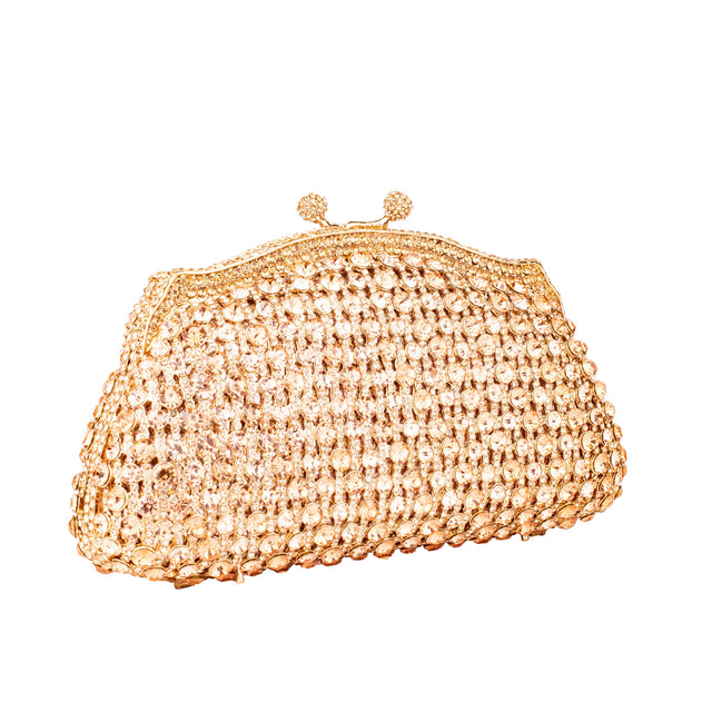 Rose Studded Crystal Work Metallic Frame Beautiful Deep Colour Handbags