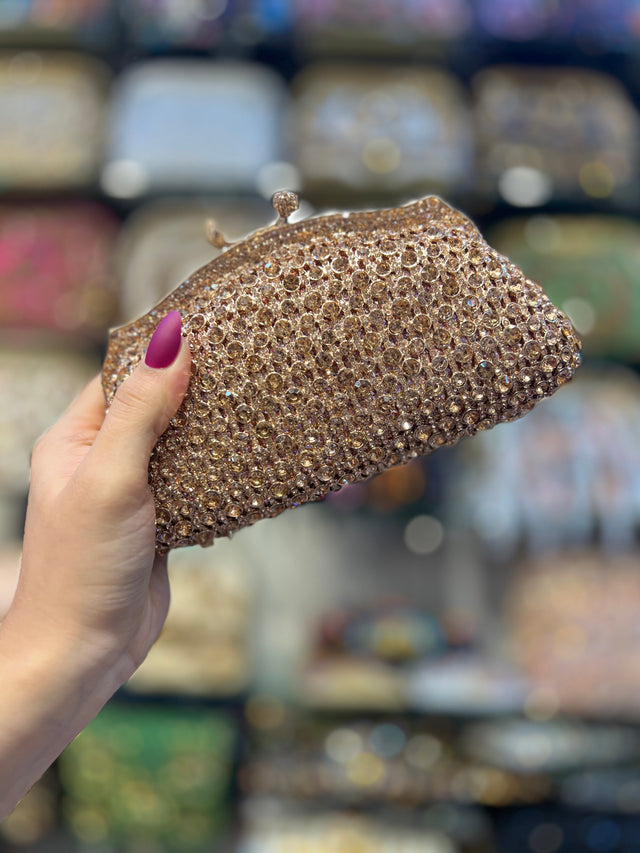 Rose Studded Crystal Work Metallic Frame Beautiful Deep Colour Handbags