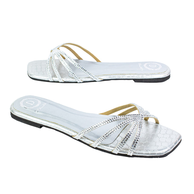 Zoya Chic Silver Flat Slippers