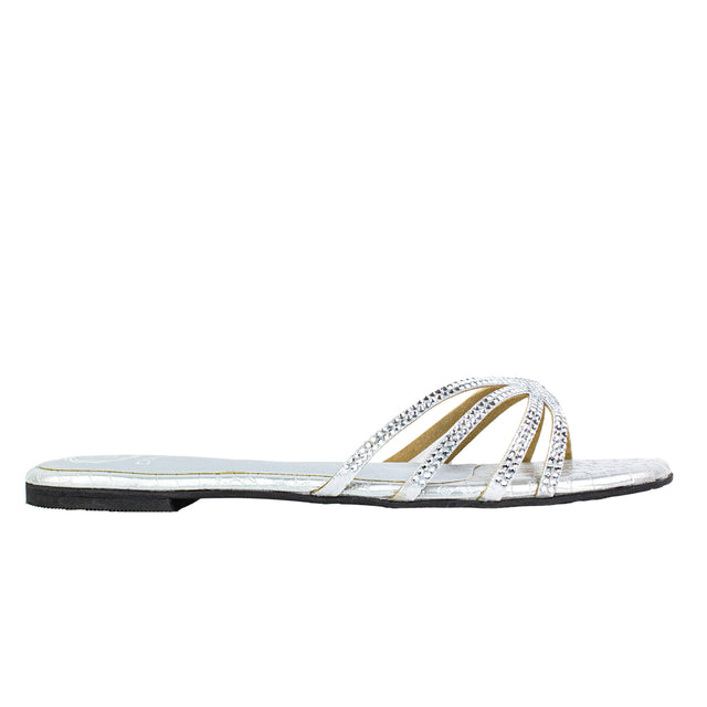 Zoya Chic Silver Flat Slippers