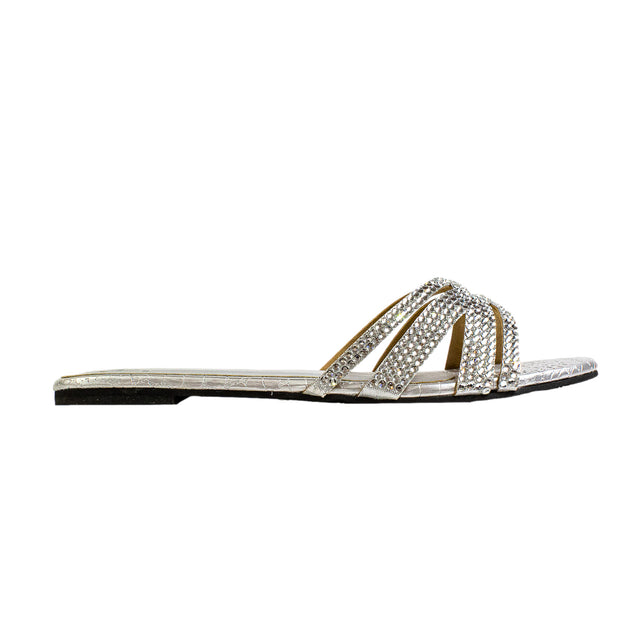 Layal Versatile Silver Flat Slippers